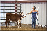 LCFAIR15-1237.jpg