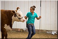 LCFAIR15-1248.jpg