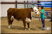 LCFAIR15-1249.jpg