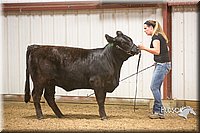 LCFAIR15-1323.jpg