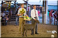 LCFAIR15-1802.jpg