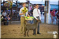 LCFAIR15-1804.jpg