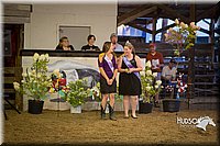 LCFAIR15-1805.jpg