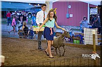 LCFAIR15-1807.jpg