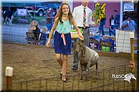 LCFAIR15-1809.jpg