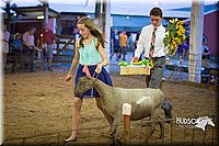 LCFAIR15-1811.jpg