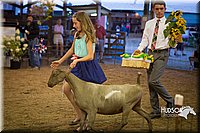 LCFAIR15-1812.jpg