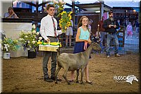 LCFAIR15-1814.jpg