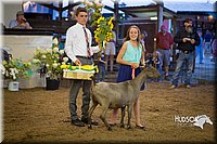 LCFAIR15-1815.jpg