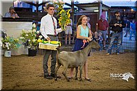 LCFAIR15-1816.jpg