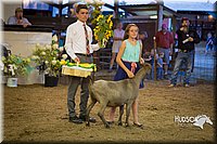 LCFAIR15-1817.jpg