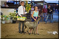 LCFAIR15-1818.jpg