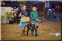 LCFAIR15-1836.jpg