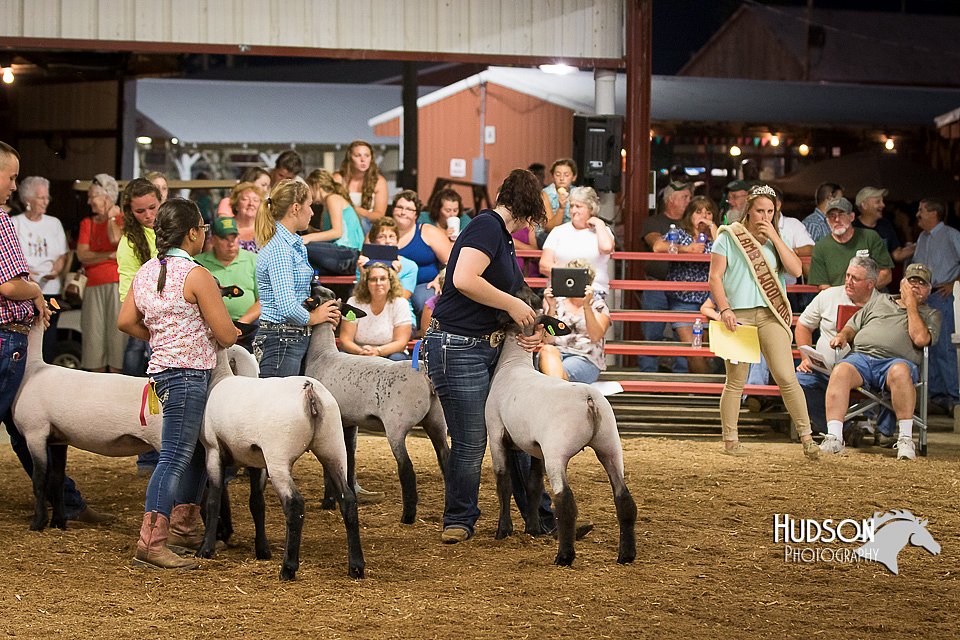 LCFAIR15-1857.jpg