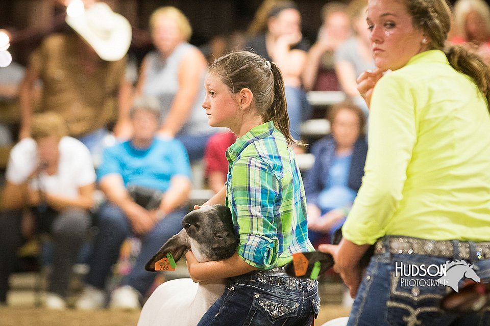 LCFAIR15-1873.jpg