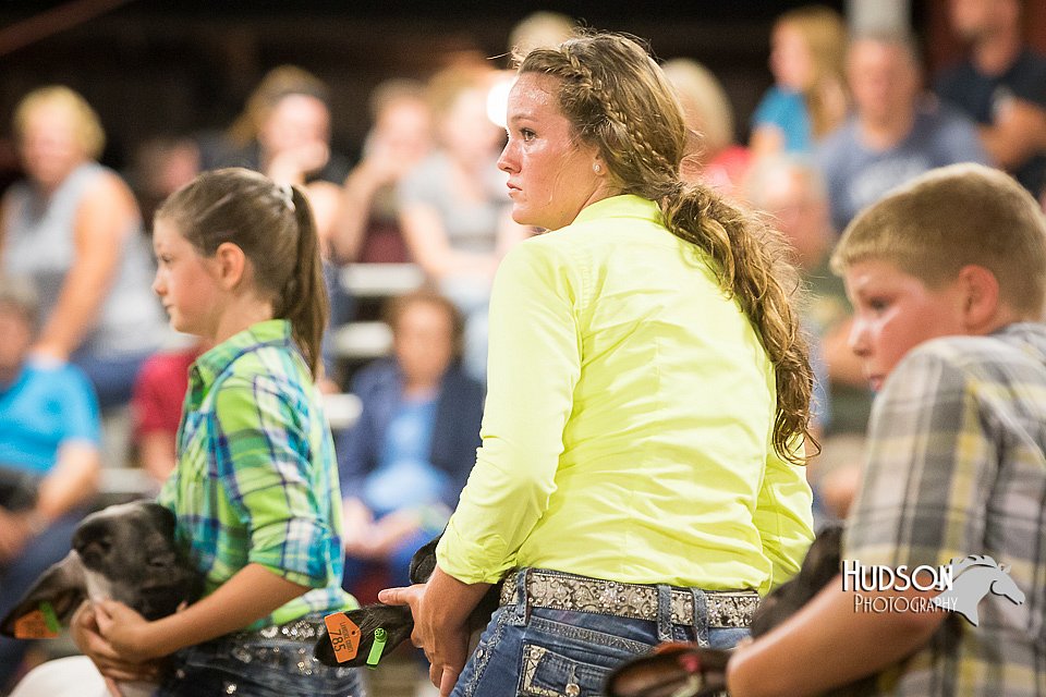 LCFAIR15-1877.jpg
