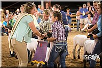 LCFAIR15-1886.jpg