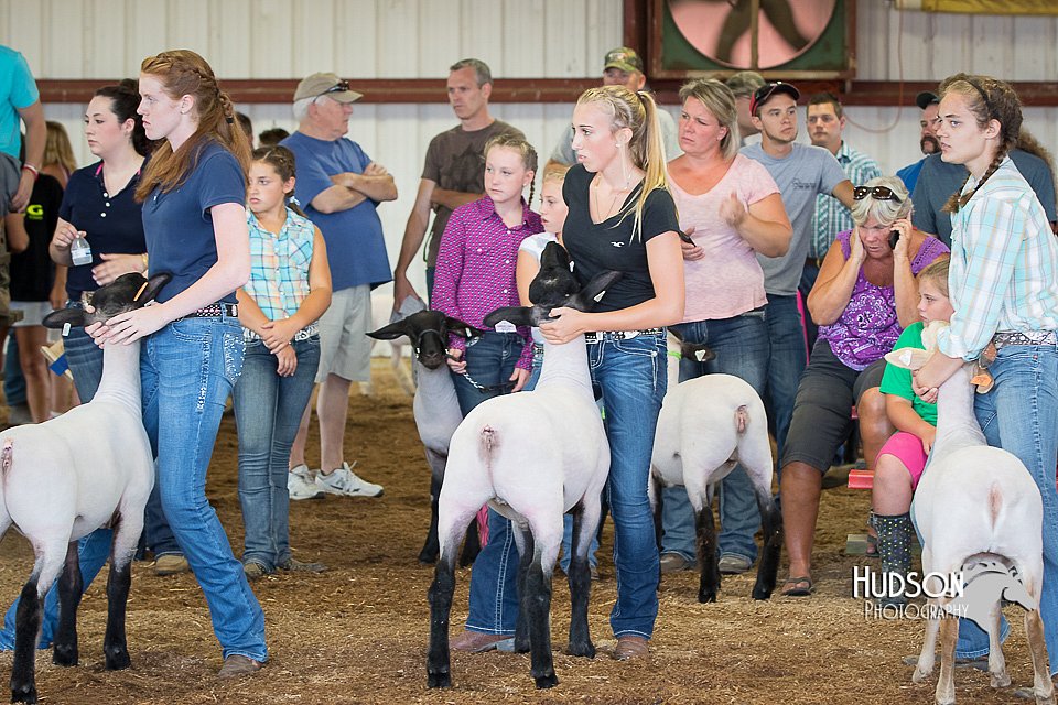 LCFAIR15-1568.jpg