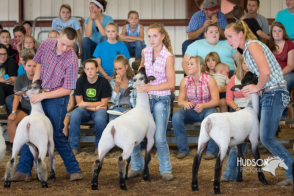 LCFAIR15-1570.jpg