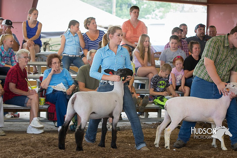 LCFAIR15-1586.jpg