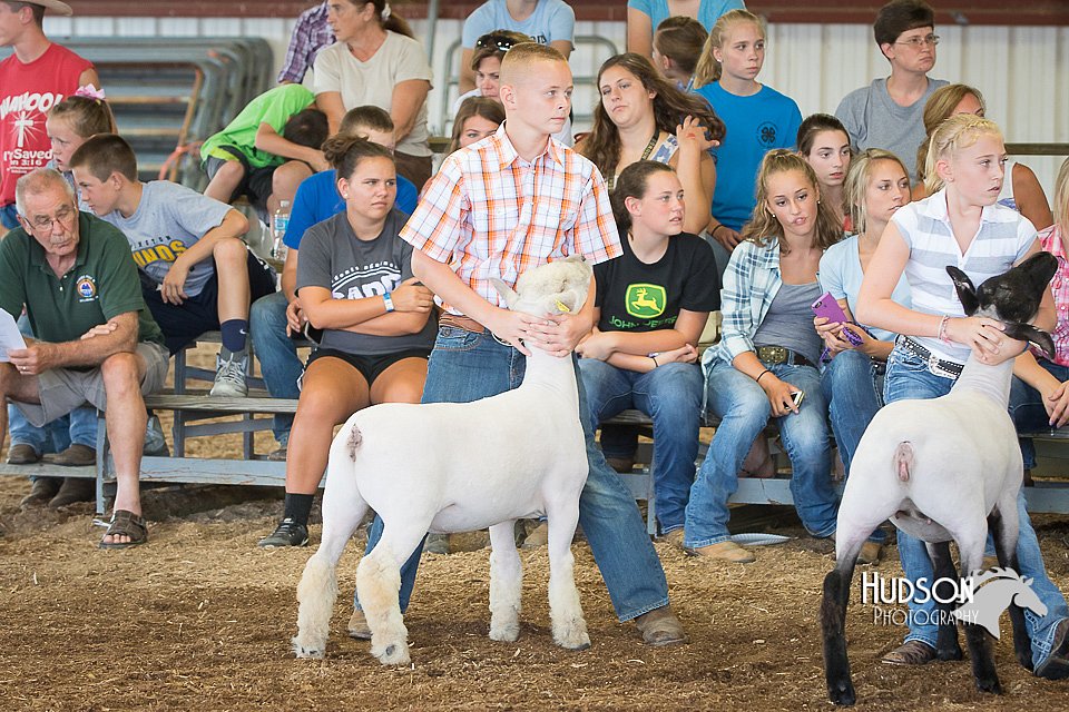 LCFAIR15-1613.jpg