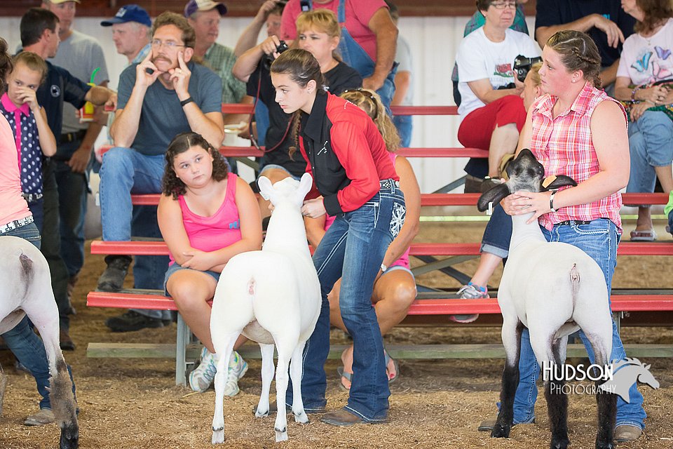 LCFAIR15-1618.jpg