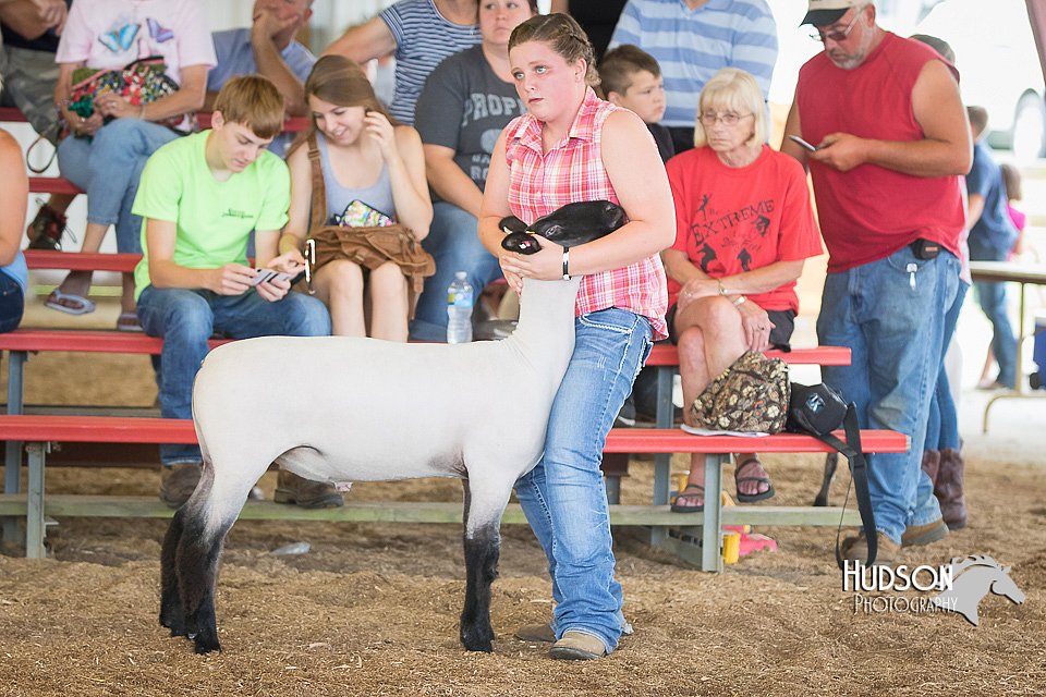 LCFAIR15-1629.jpg