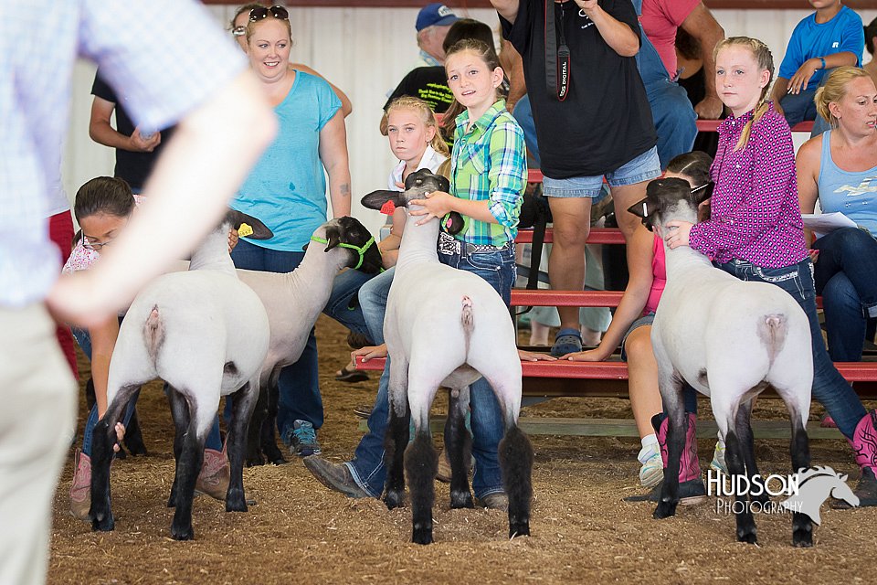 LCFAIR15-1656.jpg