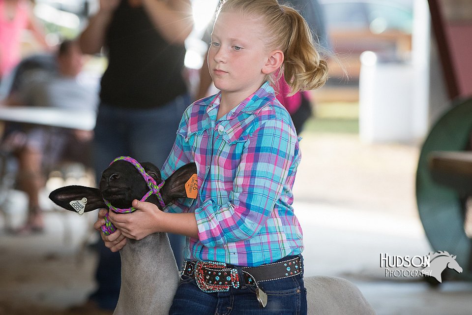 LCFAIR15-1712.jpg