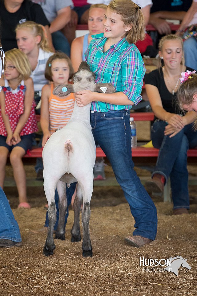 LCFAIR15-1721.jpg