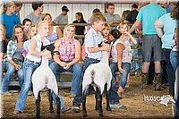 LCFAIR15-1611.jpg