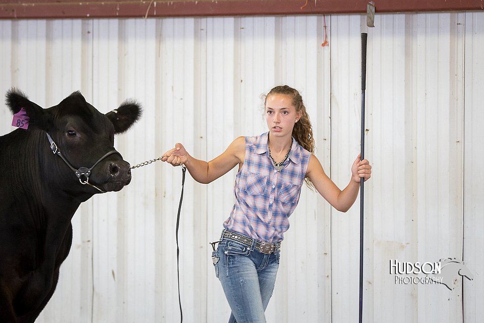 LCFAIR15-1416.jpg