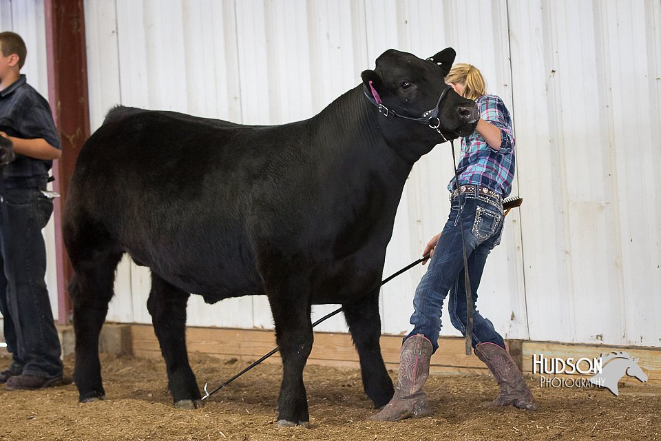 LCFAIR15-1458.jpg