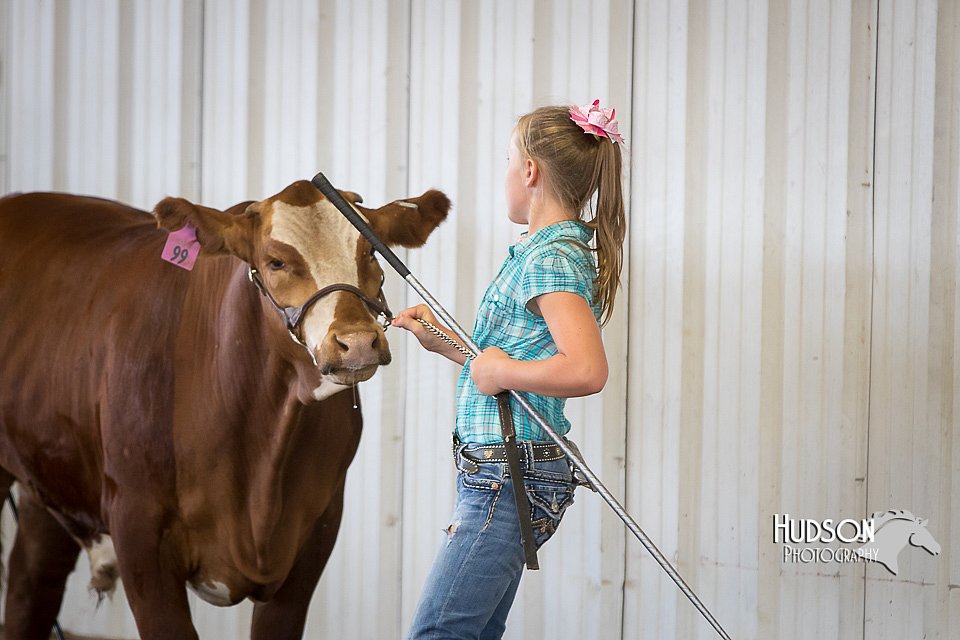 LCFAIR15-1469.jpg