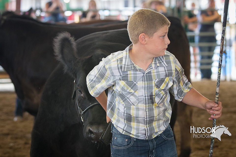 LCFAIR15-1491.jpg