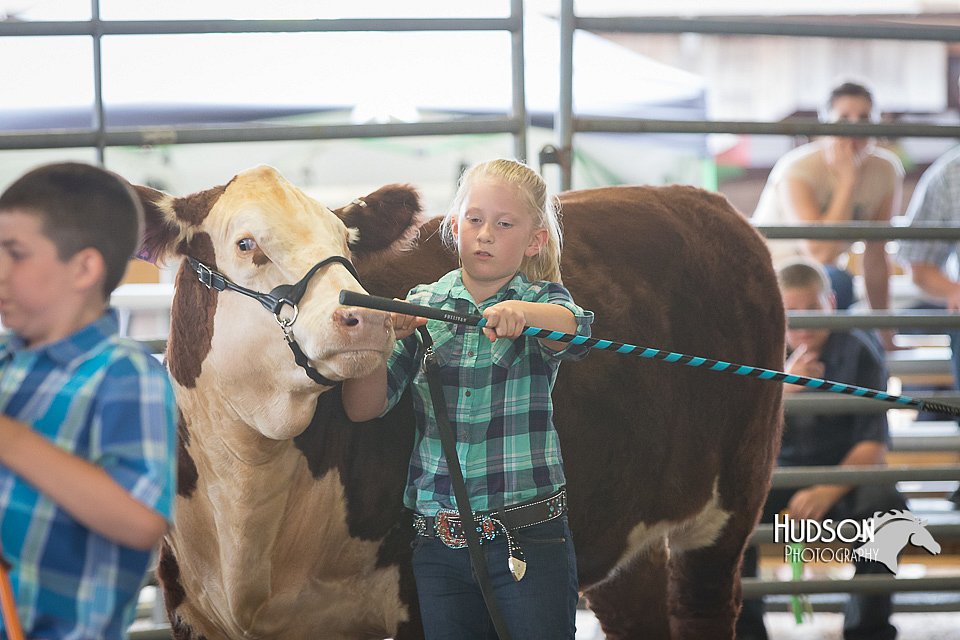 LCFAIR15-1494.jpg