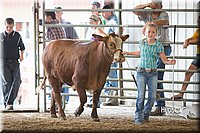 LCFAIR15-1465.jpg