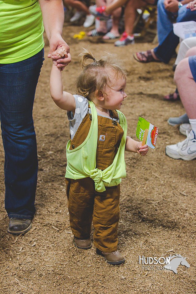LCFAIR15-2892-2.jpg