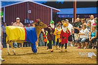 LCFAIR15-2908-2.jpg