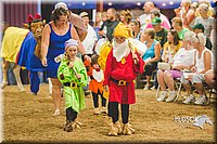 LCFAIR15-2913-2.jpg