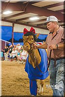 LCFAIR15-2922-2.jpg