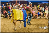 LCFAIR15-2925-2.jpg