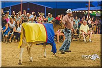 LCFAIR15-2926-2.jpg