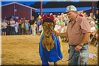 LCFAIR15-2929-2.jpg