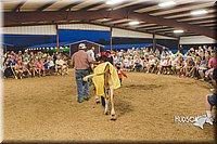 LCFAIR15-2933.jpg