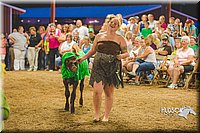 LCFAIR15-2944.jpg