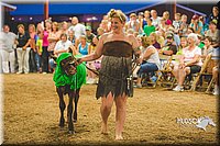 LCFAIR15-2946.jpg