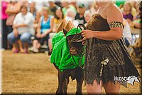 LCFAIR15-2947.jpg