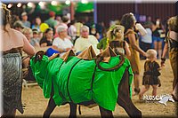 LCFAIR15-2956.jpg