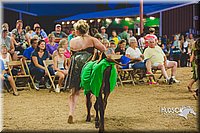 LCFAIR15-2957.jpg